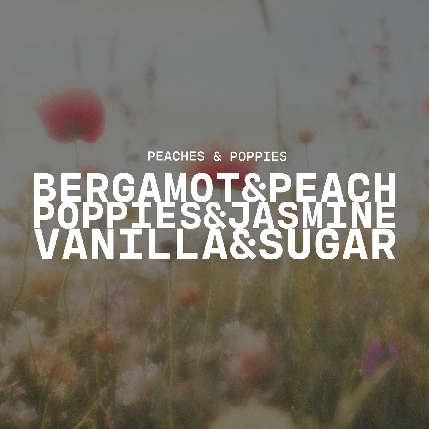 Peaches & Poppies | 10 oz Signature Statement Candle